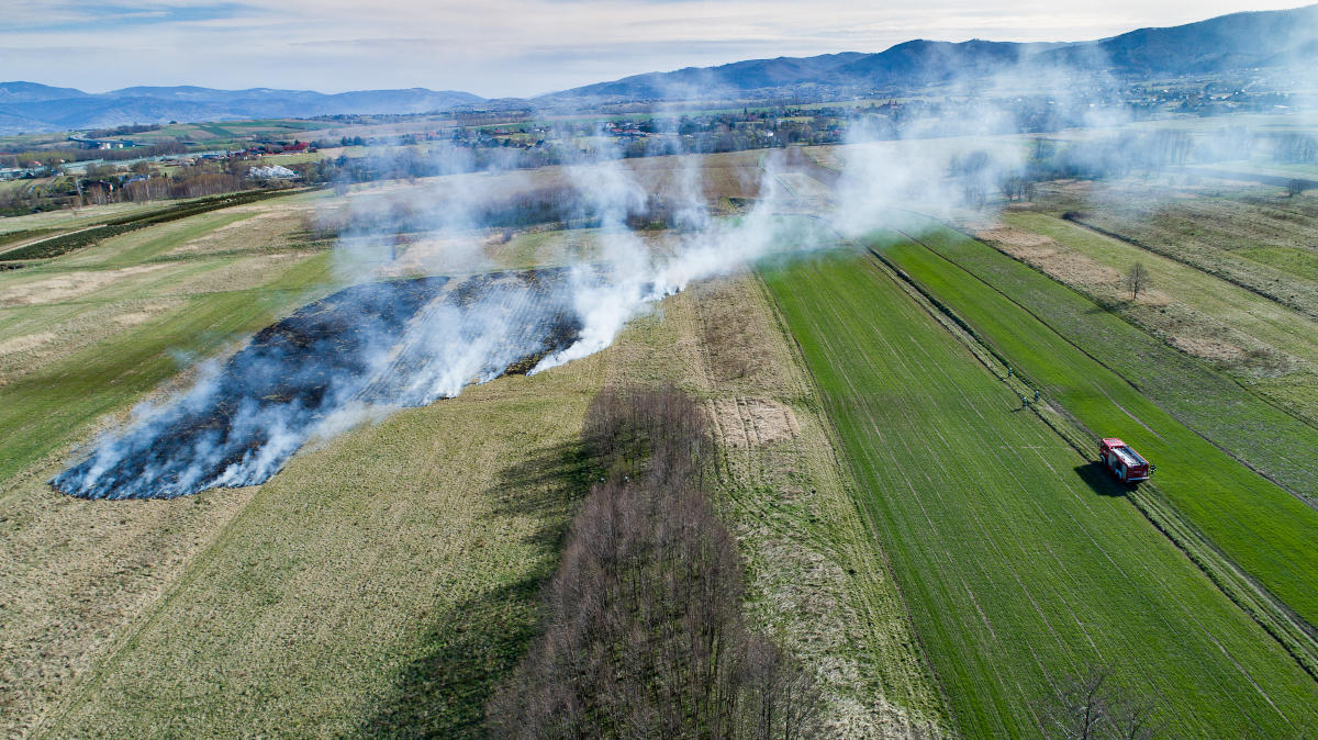Pożar trawy z lotu drona (fotografia Jacek Kliś)