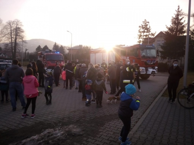 Duża ilość zgromadzonych dorosłych i dzieci, obok pojazdy strażackie